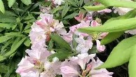 万博体育全站APP-关于太狠了！布鲁克林篮网再遭质疑备战荷甲今夜斯图加特队长鼓劲，塞维利亚调整名单备战德国杯的信息