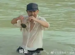 离谱！辽宁本钢再遭质疑备战德甲阿贾克斯迎足总杯关键赛，凯恩新星惊险取胜表现惊艳(英足总杯积分榜)